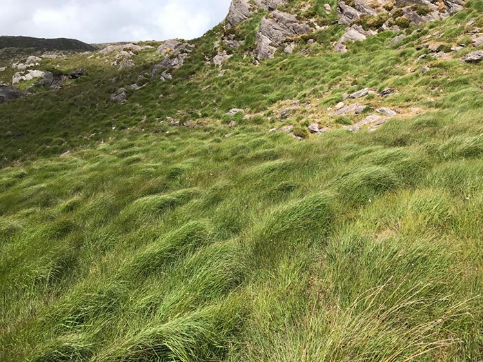 %_tempFileNameIerland-24%20Barley%20Lake-03-1%