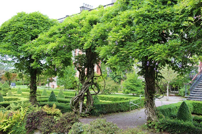 %_tempFileNameIerland-27%20Bantry%20en%20Forest-33-1%