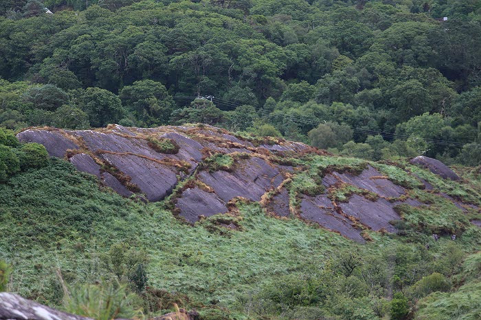 %_tempFileNameIerland-27%20Bantry%20en%20Forest-75-1%