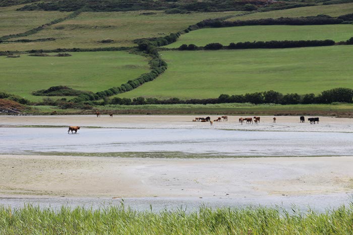 %_tempFileNameIerland-28%20Mizen%20en%20Dunlough-02%