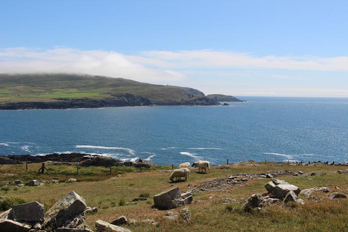 %_tempFileNameIerland-28%20Mizen%20en%20Dunlough-20%
