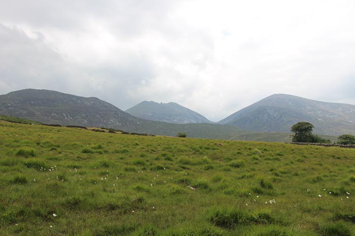 %_tempFileNameIerland-02%20Tollymore-22-1%