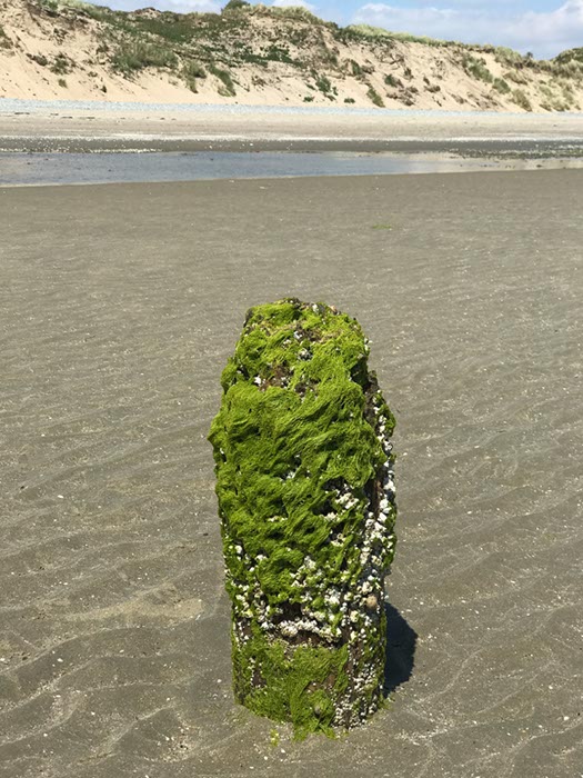 %_tempFileNameIerland-04%20Murlough-34-1%