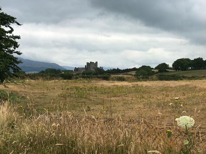 %_tempFileNameIerland-05%20Rostrevor%20Forest-03-1%