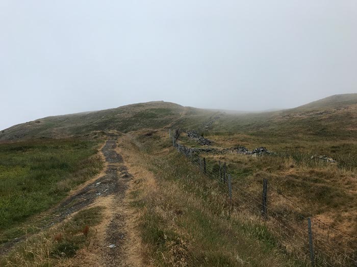 %_tempFileNameIerland-05%20Rostrevor%20Forest-23-1%
