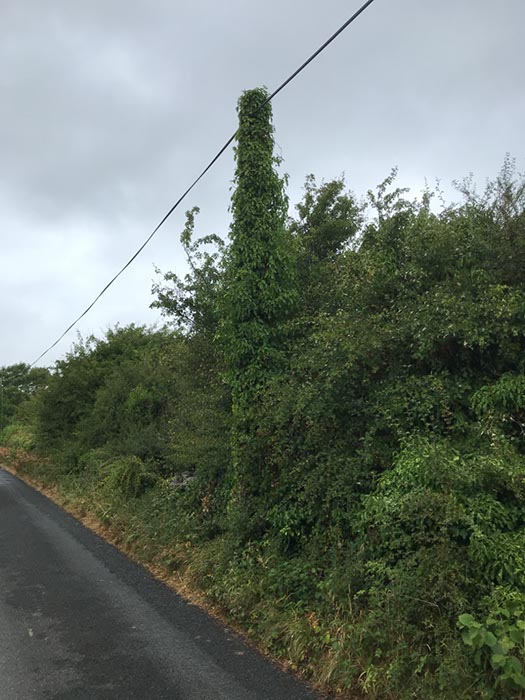 %_tempFileNameIerland-09%20Ballyvaughan-11-1%