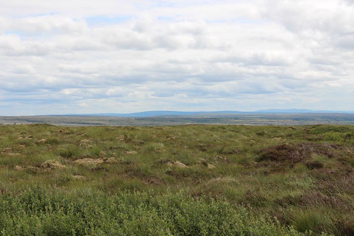 %_tempFileNameIerland-12%20Bogroad-03-1-1%