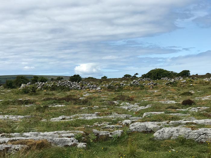 %_tempFileNameIerland-12%20Bogroad-06-1-1%