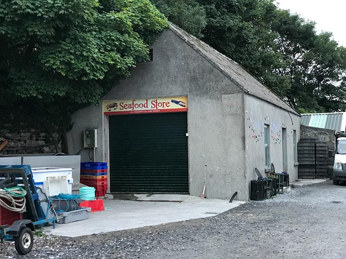 %_tempFileNameIerland-13%20Linnane-07-1-1%