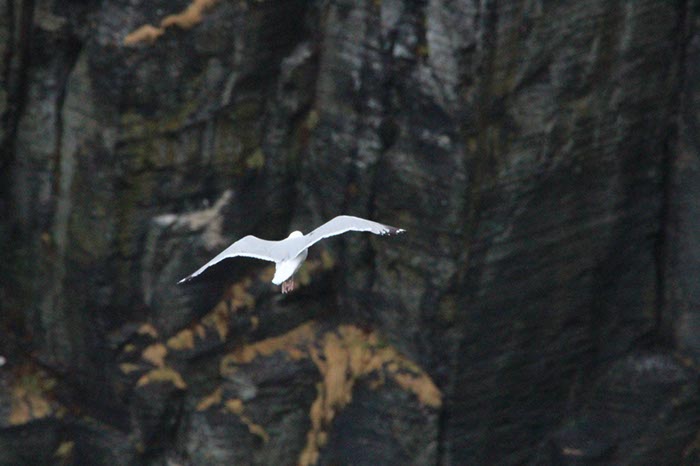 %_tempFileNameIerland-14%20Cliffs%20of%20Moher-17-1-1%