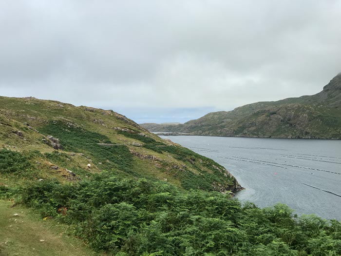 %_tempFileNameIerland-16%20Fjord%20Killhary-10-1%