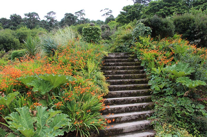 %_tempFileNameIerland-27%20Bantry%20en%20Forest-04-1%