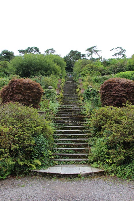 %_tempFileNameIerland-27%20Bantry%20en%20Forest-34-1%