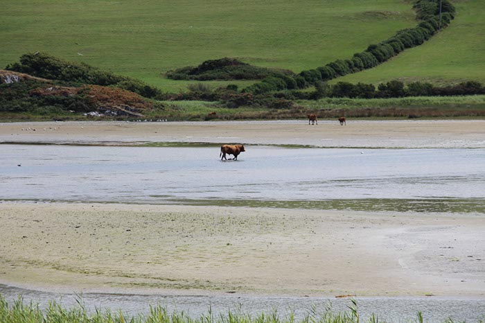 %_tempFileNameIerland-28%20Mizen%20en%20Dunlough-01%