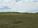 %_tempFileNameIerland-018%20Ennisbeg-35-1%