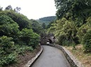 %_tempFileNameIerland-02%20Tollymore-07-1%