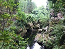 %_tempFileNameIerland-02%20Tollymore-11-1%