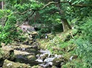 %_tempFileNameIerland-02%20Tollymore-14-1%