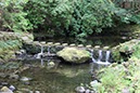 %_tempFileNameIerland-02%20Tollymore-17-1%