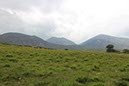 %_tempFileNameIerland-02%20Tollymore-22-1%