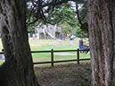 %_tempFileNameIerland-02%20Tollymore-28-1%