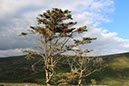 %_tempFileNameIerland-02%20Tollymore-38-1%
