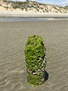 %_tempFileNameIerland-04%20Murlough-34-1%