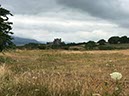 %_tempFileNameIerland-05%20Rostrevor%20Forest-03-1%