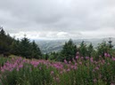 %_tempFileNameIerland-05%20Rostrevor%20Forest-22-1%