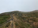 %_tempFileNameIerland-05%20Rostrevor%20Forest-23-1%