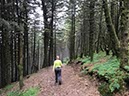 %_tempFileNameIerland-05%20Rostrevor%20Forest-27-1%