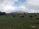 %_tempFileNameIerland-06%20Mourne%20Mountains-02-1%