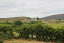 %_tempFileNameIerland-07%20Castlewellan-10-1%