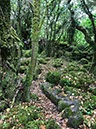 %_tempFileNameIerland-09%20Ballyvaughan-03-1%