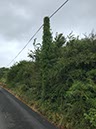 %_tempFileNameIerland-09%20Ballyvaughan-11-1%