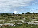 %_tempFileNameIerland-12%20Bogroad-06-1-1%