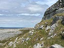 %_tempFileNameIerland-13%20Blackhead%20anders-30-1-1%