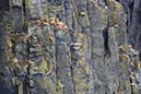 %_tempFileNameIerland-14%20Cliffs%20of%20Moher-11-1-1%