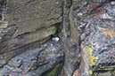 %_tempFileNameIerland-14%20Cliffs%20of%20Moher-18-1-1%