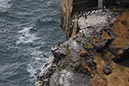%_tempFileNameIerland-14%20Cliffs%20of%20Moher-19-1-1%
