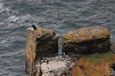 %_tempFileNameIerland-14%20Cliffs%20of%20Moher-20-1-1%