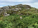 %_tempFileNameIerland-23%20Sheep's%20Head-57-1%