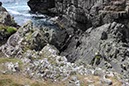 %_tempFileNameIerland-23%20Sheep's%20Head-63-1%