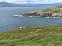 %_tempFileNameIerland-23%20Sheep's%20Head-68-1%