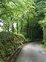 %_tempFileNameIerland-25%20Lough%20Hyne-11-1%