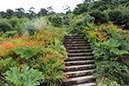 %_tempFileNameIerland-27%20Bantry%20en%20Forest-04-1%