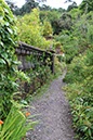 %_tempFileNameIerland-27%20Bantry%20en%20Forest-06-1%