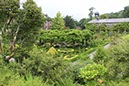 %_tempFileNameIerland-27%20Bantry%20en%20Forest-10-1%