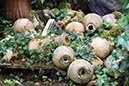 %_tempFileNameIerland-27%20Bantry%20en%20Forest-14-1%