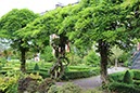 %_tempFileNameIerland-27%20Bantry%20en%20Forest-33-1%